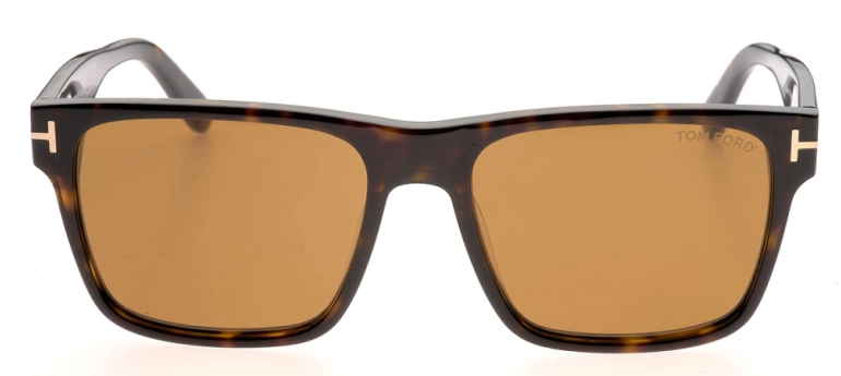 Óculos de Sol Tom Ford CALDER 1205 52E