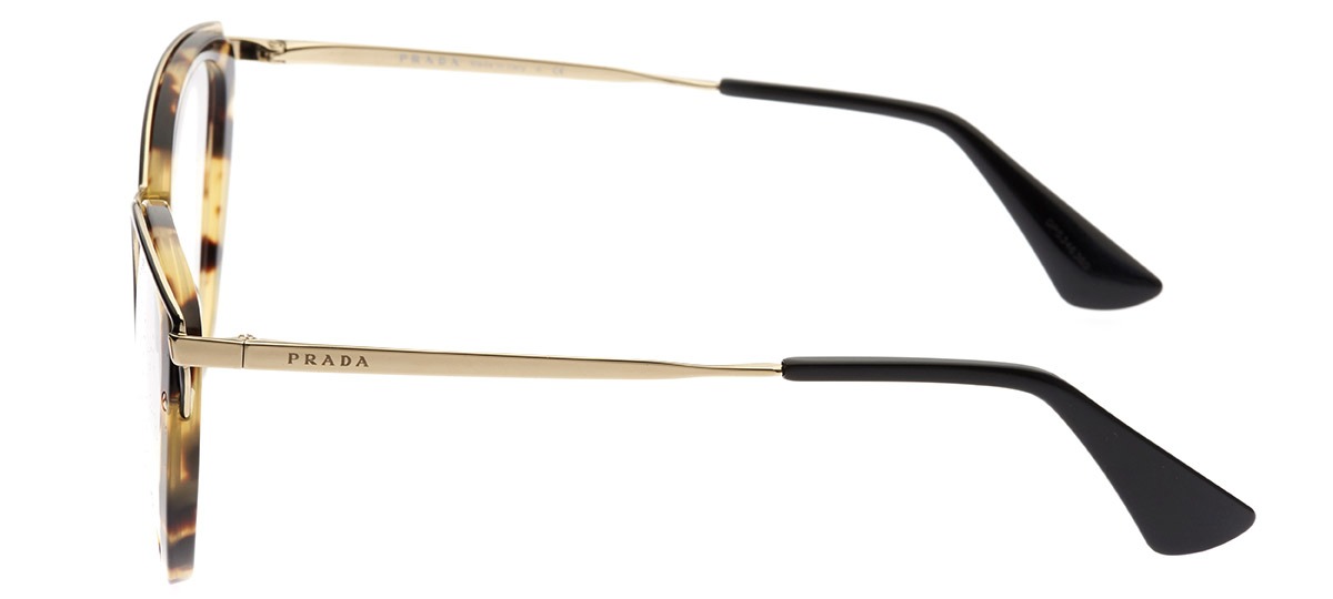 prada wanderer evolution