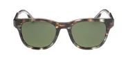 Óculos de Sol Ermenegildo Zegna 0222 50N
