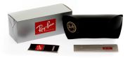 Óculos de Sol Ray JUSTIN 4165 L 601/8G