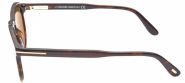 Óculos de Sol Tom Ford DANTE 834 52J Óculos de Sol Tom Ford DANTE 834 52J