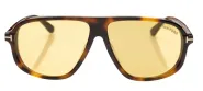 Óculos de Sol Tom Ford GUILLAUME 1208 53E Óculos de Sol Tom Ford GUILLAUME 1208 53E